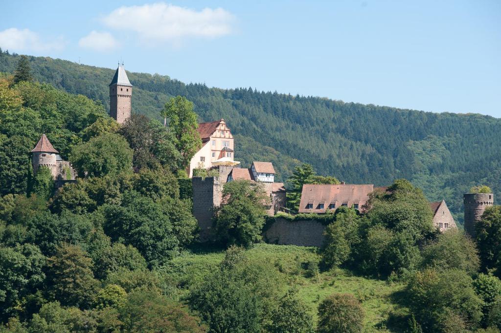 Schlosshotel Hirschhorn Exteriör bild